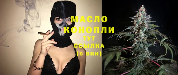 крисы Коряжма
