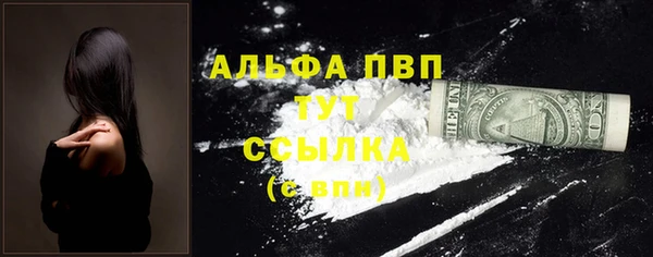 крисы Коряжма