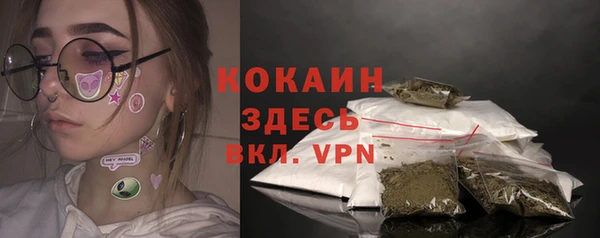 крисы Коряжма