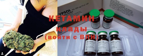 крисы Коряжма